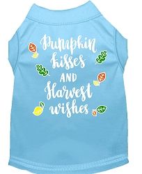 Pumpkin Kisses Screen Print Dog Shirt Baby Blue Med