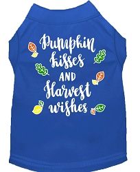 Pumpkin Kisses Screen Print Dog Shirt Blue Med