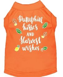 Pumpkin Kisses Screen Print Dog Shirt Orange Med