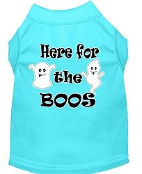 Here for the Boos Screen Print Dog Shirt Aqua Med