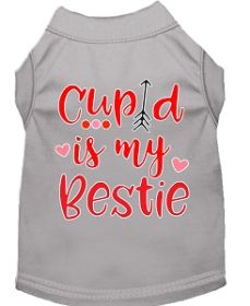 Cupid is my Bestie Screen Print Dog Shirt Grey XL