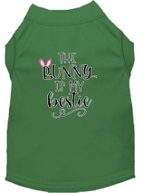 Bunny is my Bestie Screen Print Dog Shirt Green XL