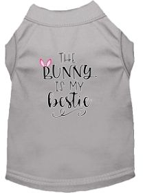 Bunny is my Bestie Screen Print Dog Shirt Grey Lg