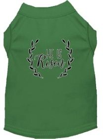 He Is Risen Screen Print Dog Shirt Green Med