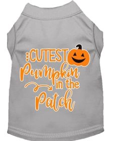 Cutest Pumpkin in the Patch Screen Print Dog Shirt Grey Med