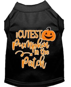 Cutest Pumpkin in the Patch Screen Print Dog Shirt Black Lg