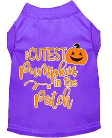 Cutest Pumpkin in the Patch Screen Print Dog Shirt Purple Lg