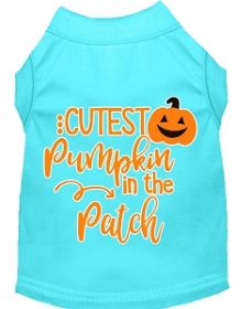 Cutest Pumpkin in the Patch Screen Print Dog Shirt Aqua XXL