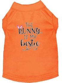 Bunny is my Bestie Screen Print Dog Shirt Orange XXL