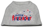 Little Firecracker Screen Print Shirts Grey XL