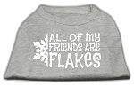 All my friends are Flakes Screen Print Shirt Grey XL