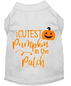 Cutest Pumpkin in the Patch Screen Print Dog Shirt White XS