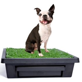 Pet Loo Potty Training System - Small