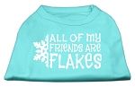 All my friends are Flakes Screen Print Shirt Aqua S