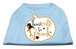 Too Cute to Spook Screen Print Dog Shirt Baby Blue Med