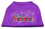 Little Firecracker Screen Print Shirts Purple L