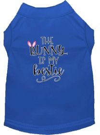 Bunny is my Bestie Screen Print Dog Shirt Blue Sm