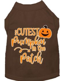 Cutest Pumpkin in the Patch Screen Print Dog Shirt Brown Sm