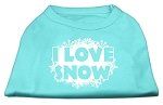 I Love Snow Screenprint Shirts Aqua XXL